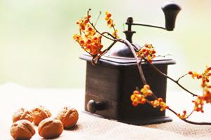 梅田エリアで見つかる！最新釣具購入ガイド2026