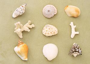 オリジナルの缶バッジを激安で手に入れる