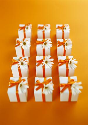 初心者でも扱いやすいcbdを選ぶ